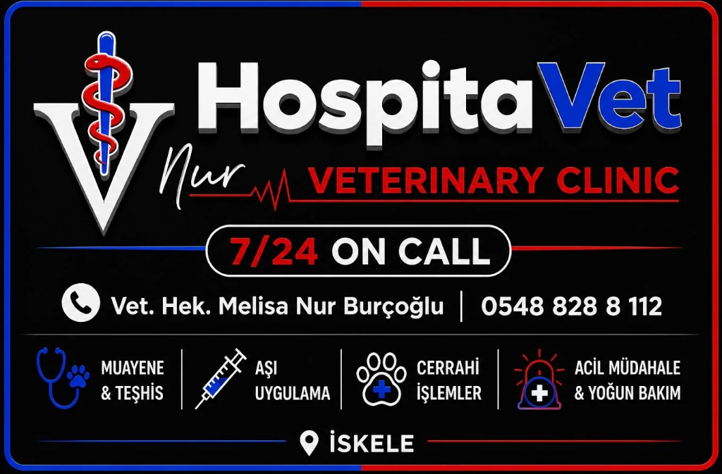 Nur HospitaVet